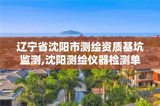 遼寧省沈陽市測繪資質基坑監測,沈陽測繪儀器檢測單位