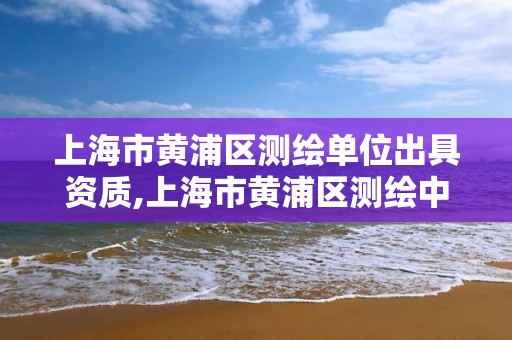 上海市黃浦區測繪單位出具資質,上海市黃浦區測繪中心