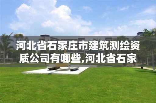 河北省石家莊市建筑測繪資質(zhì)公司有哪些,河北省石家莊市建筑測繪資質(zhì)公司有哪些名單