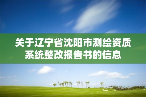 關于遼寧省沈陽市測繪資質系統整改報告書的信息