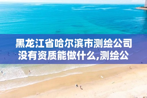 黑龍江省哈爾濱市測(cè)繪公司沒(méi)有資質(zhì)能做什么,測(cè)繪公司的資質(zhì)去哪里申請(qǐng)。