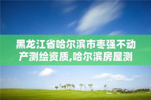 黑龍江省哈爾濱市棗強不動產測繪資質,哈爾濱房屋測繪。