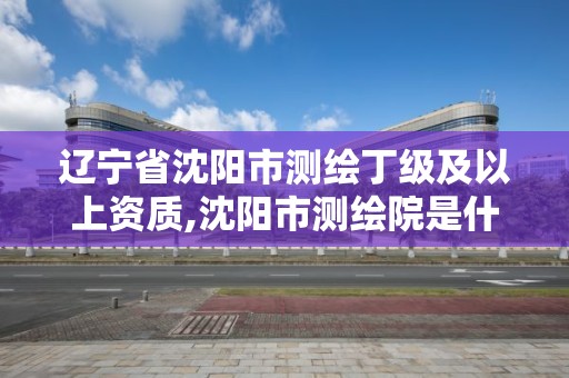 遼寧省沈陽市測繪丁級及以上資質,沈陽市測繪院是什么單位