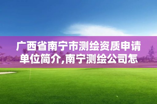 廣西省南寧市測繪資質(zhì)申請單位簡介,南寧測繪公司怎么收費標準