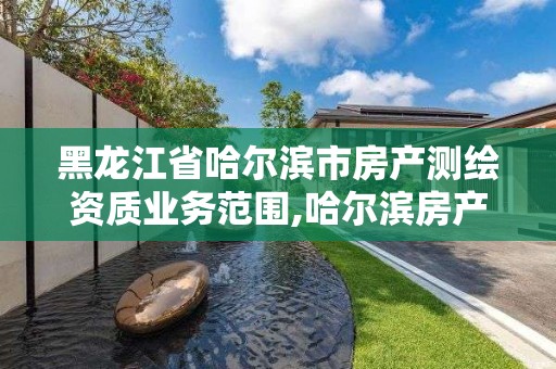 黑龍江省哈爾濱市房產測繪資質業務范圍,哈爾濱房產測繪公司