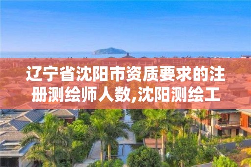 遼寧省沈陽市資質(zhì)要求的注冊測繪師人數(shù),沈陽測繪工程師招聘。