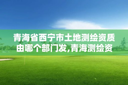 青海省西寧市土地測繪資質由哪個部門發,青海測繪資質辦理。