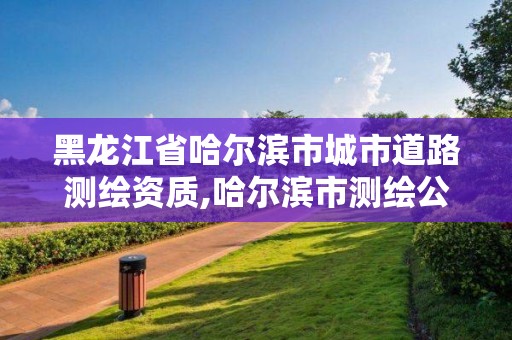 黑龍江省哈爾濱市城市道路測繪資質,哈爾濱市測繪公司。