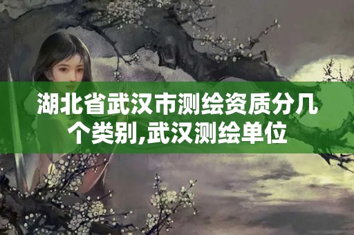 湖北省武漢市測繪資質(zhì)分幾個類別,武漢測繪單位