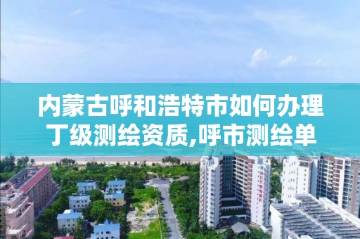 內(nèi)蒙古呼和浩特市如何辦理丁級測繪資質(zhì),呼市測繪單位