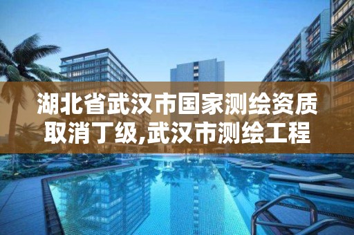 湖北省武漢市國家測繪資質取消丁級,武漢市測繪工程技術規定