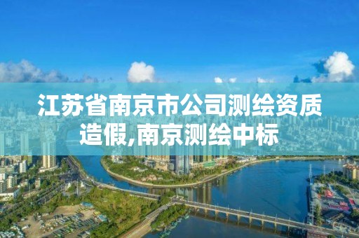 江蘇省南京市公司測繪資質造假,南京測繪中標