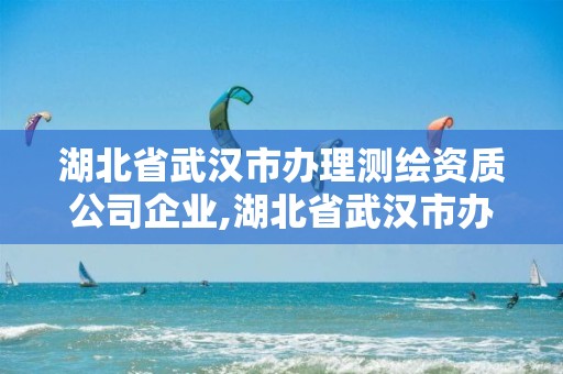 湖北省武漢市辦理測繪資質(zhì)公司企業(yè),湖北省武漢市辦理測繪資質(zhì)公司企業(yè)有幾家