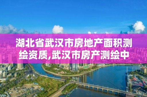 湖北省武漢市房地產(chǎn)面積測繪資質(zhì),武漢市房產(chǎn)測繪中心簡介。