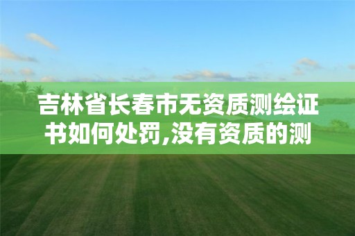 吉林省長春市無資質測繪證書如何處罰,沒有資質的測繪公司怎么開票。