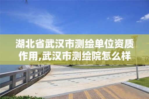 湖北省武漢市測繪單位資質作用,武漢市測繪院怎么樣