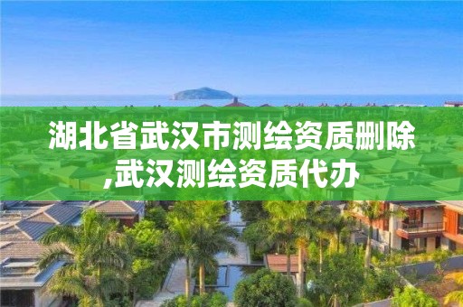 湖北省武漢市測繪資質刪除,武漢測繪資質代辦