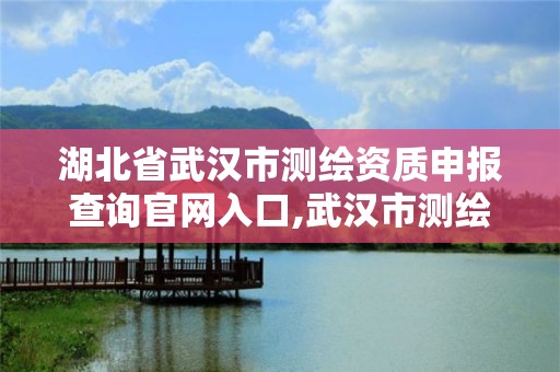 湖北省武漢市測繪資質申報查詢官網入口,武漢市測繪工程技術規定。