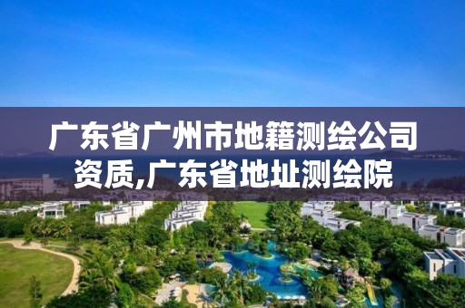 廣東省廣州市地籍測繪公司資質(zhì),廣東省地址測繪院