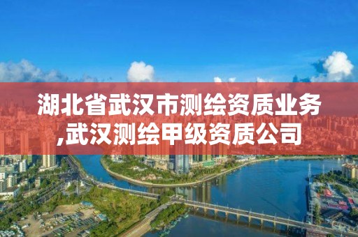 湖北省武漢市測繪資質(zhì)業(yè)務,武漢測繪甲級資質(zhì)公司