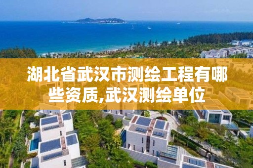 湖北省武漢市測繪工程有哪些資質(zhì),武漢測繪單位