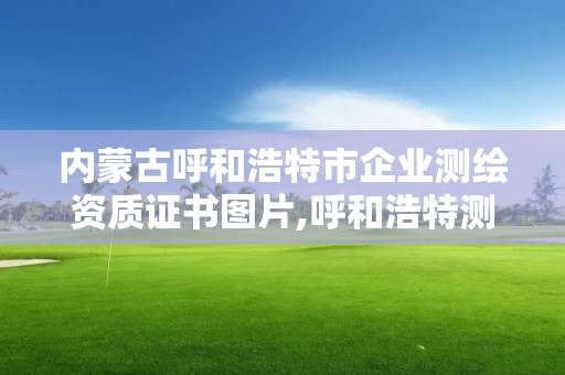 內蒙古呼和浩特市企業測繪資質證書圖片,呼和浩特測繪局屬于什么單位管理