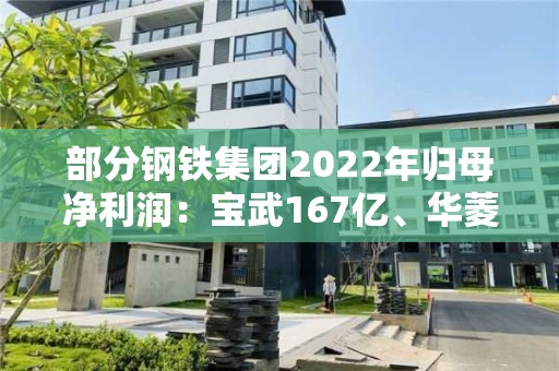 部分鋼鐵集團2022年歸母凈利潤：寶武167億、華菱79億、太鋼50億、鞍鋼41億，柳鋼-58億、山鋼-14億