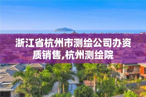 浙江省杭州市測繪公司辦資質銷售,杭州測繪院