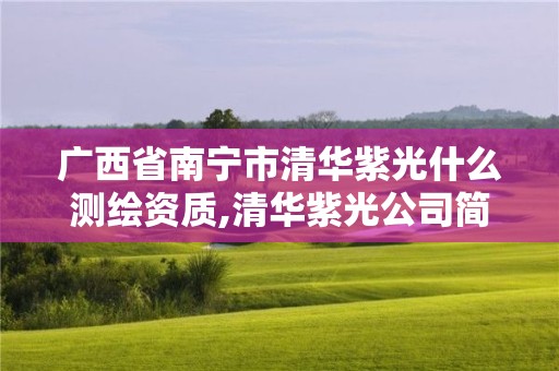 廣西省南寧市清華紫光什么測繪資質,清華紫光公司簡介。