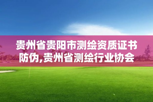 貴州省貴陽市測繪資質證書防偽,貴州省測繪行業協會