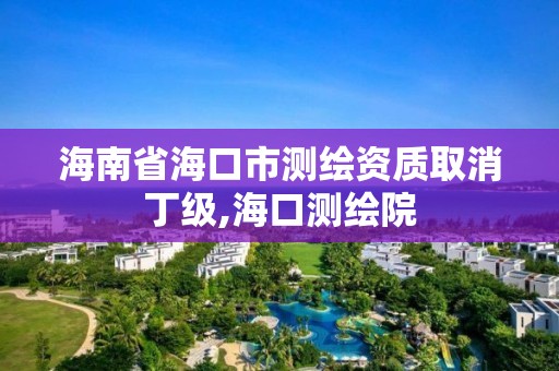 海南省海口市測繪資質取消丁級,海口測繪院