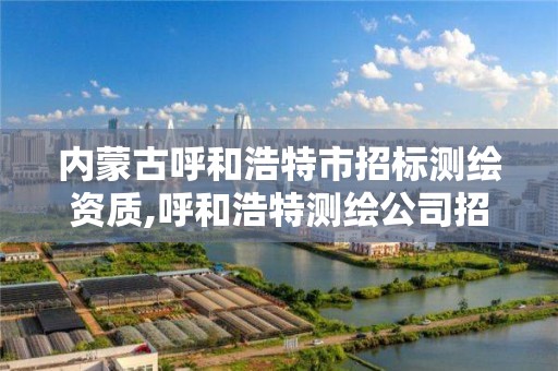 內蒙古呼和浩特市招標測繪資質,呼和浩特測繪公司招聘