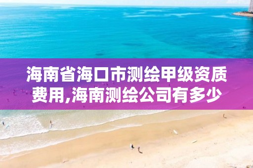 海南省海口市測繪甲級資質費用,海南測繪公司有多少家