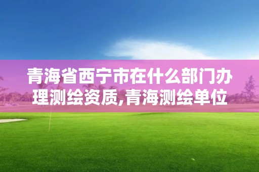 青海省西寧市在什么部門辦理測繪資質,青海測繪單位