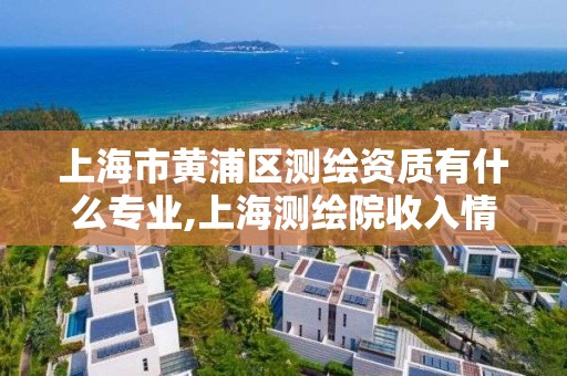 上海市黃浦區測繪資質有什么專業,上海測繪院收入情況