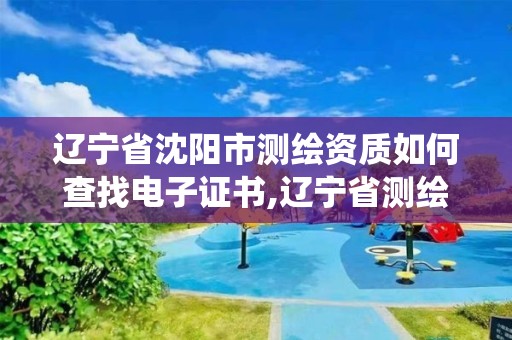 遼寧省沈陽市測繪資質如何查找電子證書,遼寧省測繪資質管理信息系統