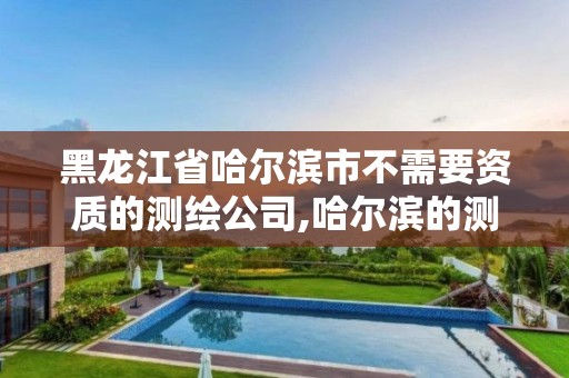 黑龍江省哈爾濱市不需要資質(zhì)的測繪公司,哈爾濱的測繪公司有哪些。