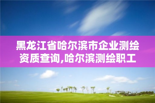 黑龍江省哈爾濱市企業(yè)測(cè)繪資質(zhì)查詢(xún),哈爾濱測(cè)繪職工中等專(zhuān)業(yè)學(xué)校