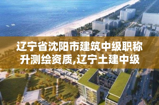 遼寧省沈陽市建筑中級職稱升測繪資質,遼寧土建中級職稱。