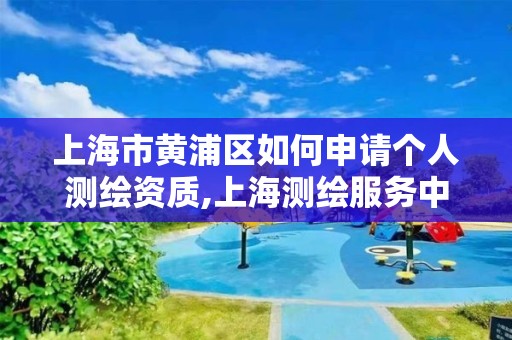 上海市黃浦區如何申請個人測繪資質,上海測繪服務中心