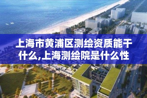 上海市黃浦區測繪資質能干什么,上海測繪院是什么性質的單位