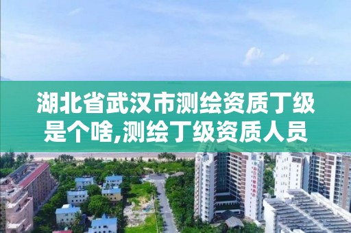 湖北省武漢市測繪資質丁級是個啥,測繪丁級資質人員條件。