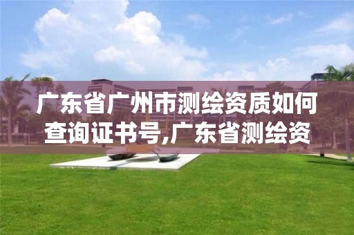 廣東省廣州市測繪資質如何查詢證書號,廣東省測繪資質管理系統。