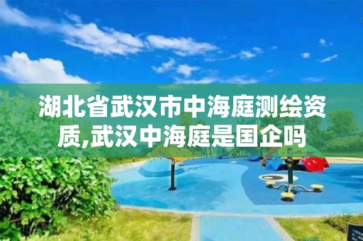 湖北省武漢市中海庭測繪資質,武漢中海庭是國企嗎