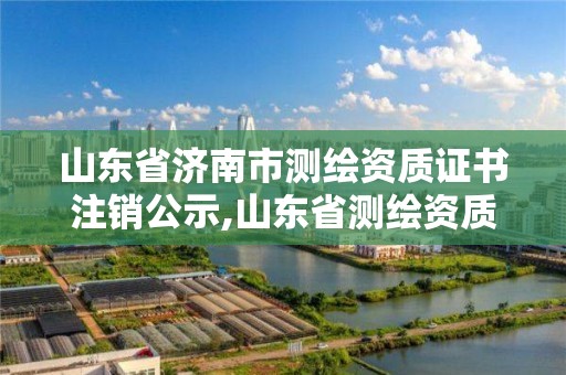 山東省濟南市測繪資質證書注銷公示,山東省測繪資質專用章圖片。