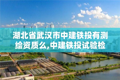 湖北省武漢市中建鐵投有測繪資質么,中建鐵投試驗檢測有限公司是國企嗎。