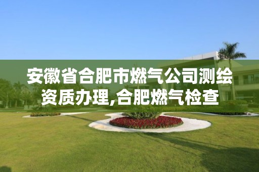 安徽省合肥市燃氣公司測繪資質辦理,合肥燃氣檢查