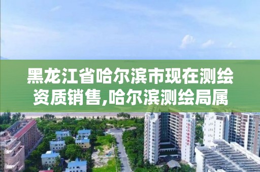 黑龍江省哈爾濱市現在測繪資質銷售,哈爾濱測繪局屬于什么單位