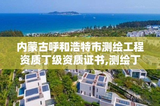 內蒙古呼和浩特市測繪工程資質丁級資質證書,測繪丁級資質全套申請文件