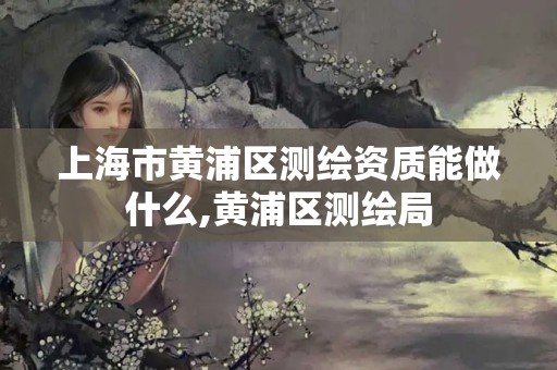 上海市黃浦區(qū)測繪資質能做什么,黃浦區(qū)測繪局